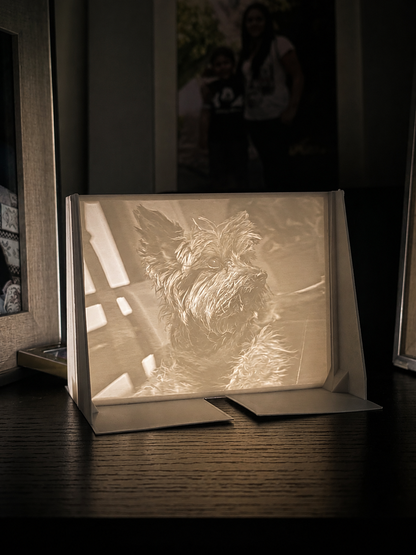 Customized Lithophanes