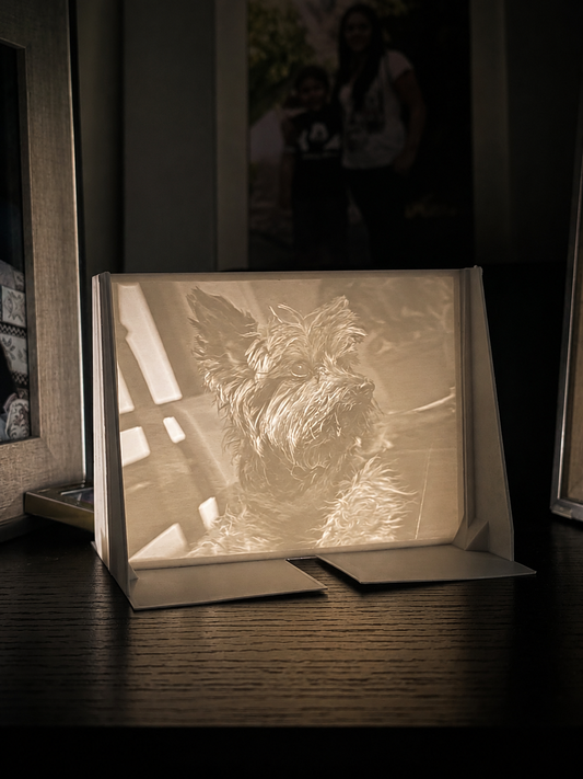 Customized Lithophanes